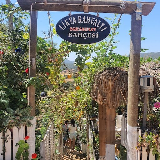 Yorum fotoğrafı 4