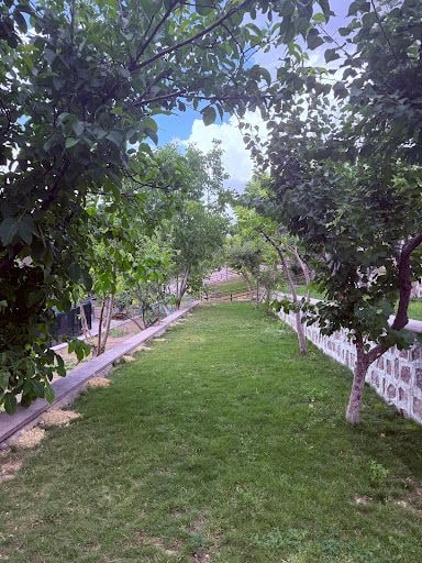 Yorum fotoğrafı 4