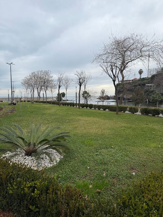 Yorum fotoğrafı 3