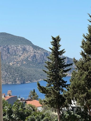 Yorum fotoğrafı 4