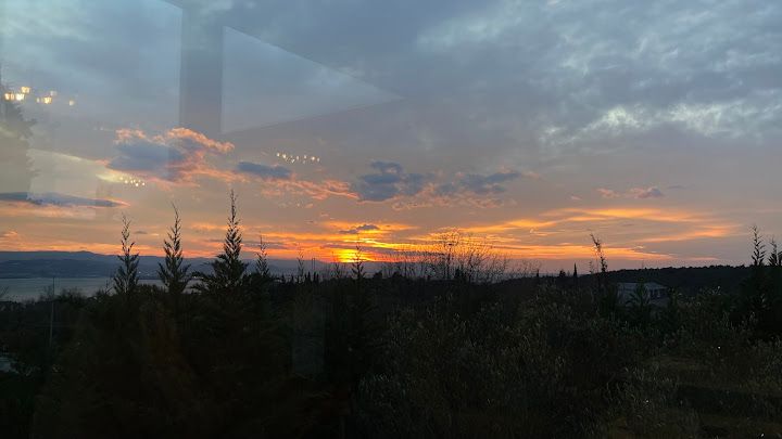 Fotoğraf 49