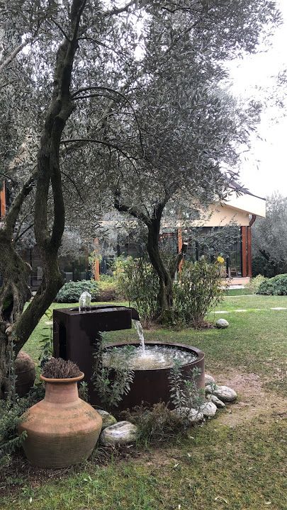 Fotoğraf 21