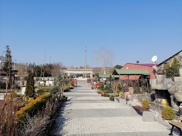 Fotoğraf 25