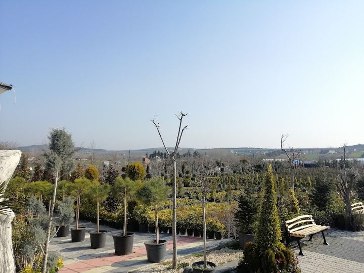 Fotoğraf 23