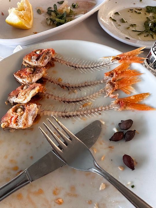 Fotoğraf 39