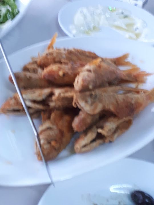Fotoğraf 38