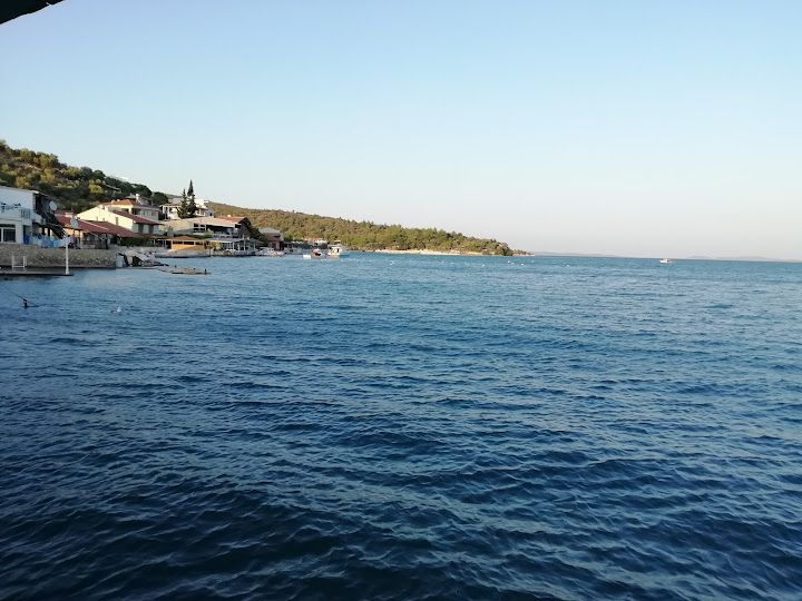 Fotoğraf 53