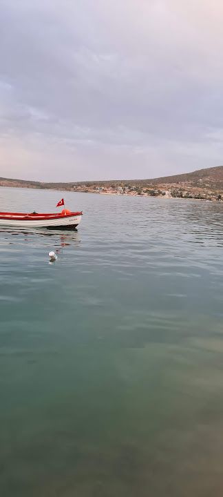 Fotoğraf 56