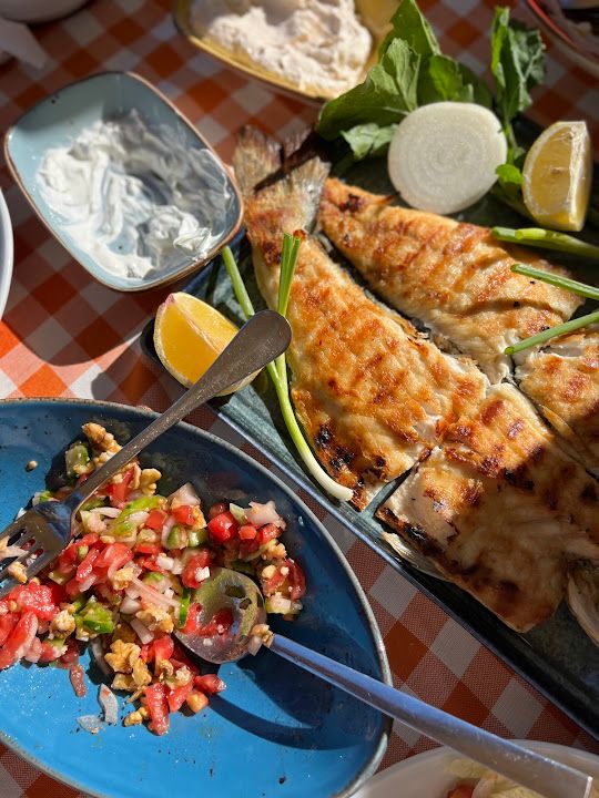 Fotoğraf 23