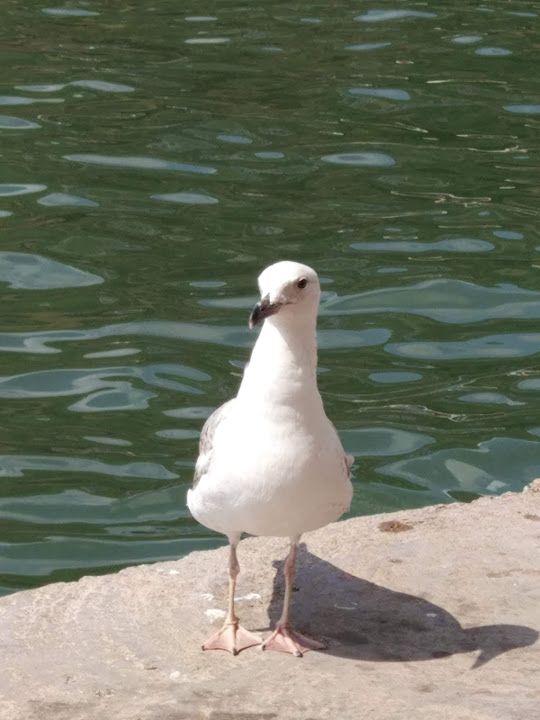 Fotoğraf 50