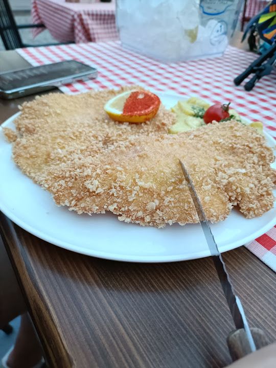 Fotoğraf 22
