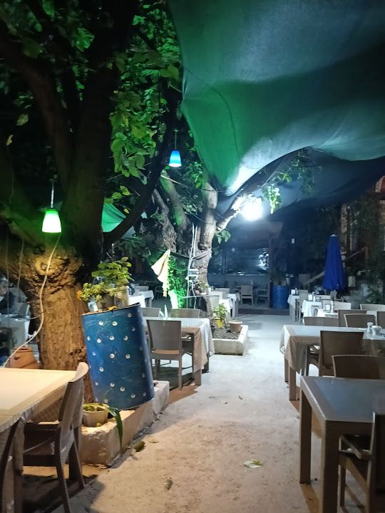 Fotoğraf 45