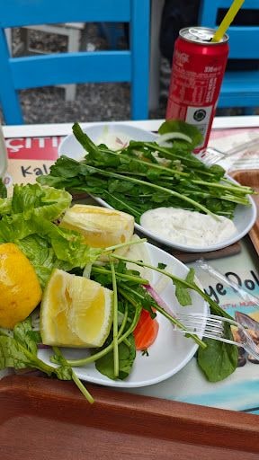Yorum fotoğrafı 2