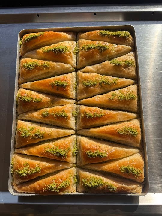 Fotoğraf 23