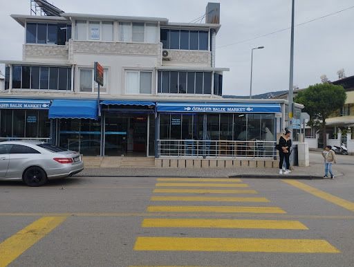 Fotoğraf 21