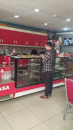 Fotoğraf 16