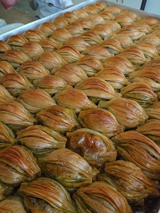 Fotoğraf 14