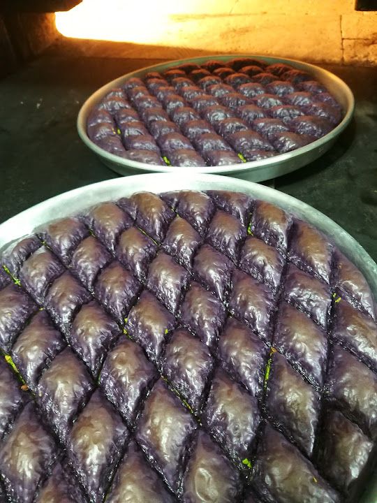 Fotoğraf 24