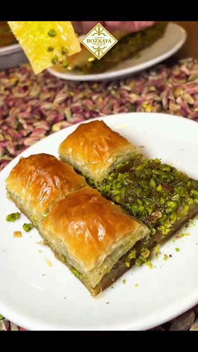 Fotoğraf 28