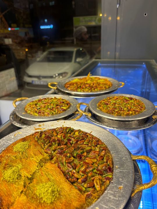 Fotoğraf 9