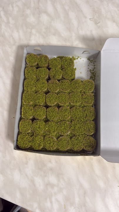 Fotoğraf 20