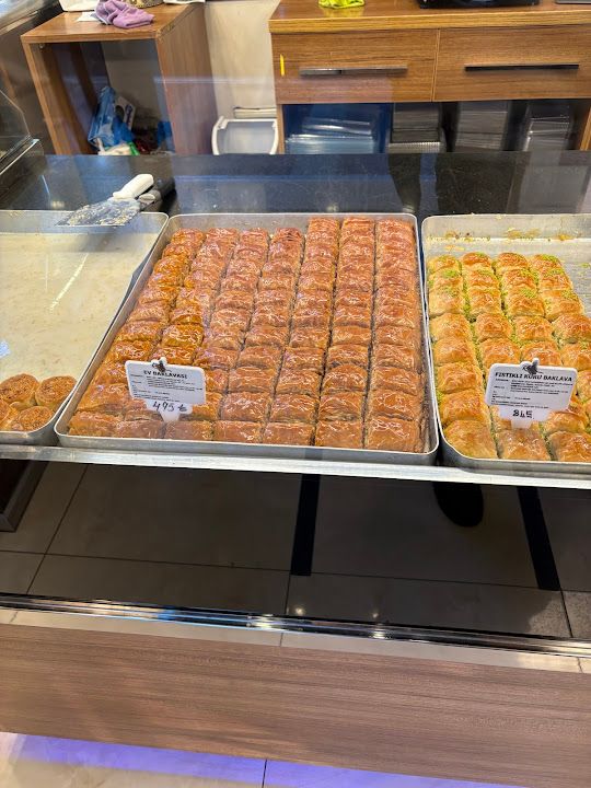 Fotoğraf 24