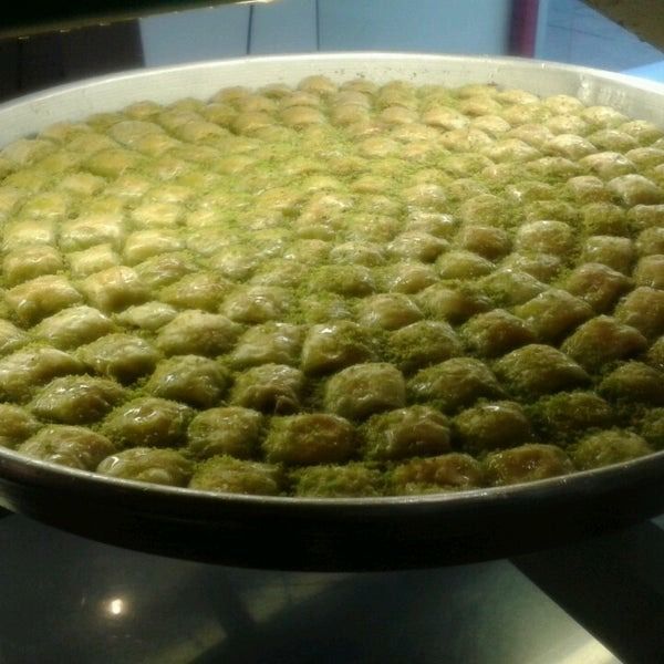 Fotoğraf 15