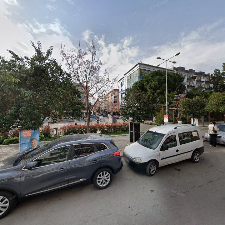 Fotoğraf 8