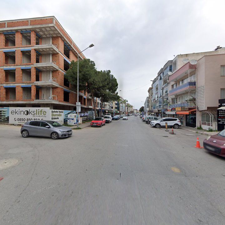 Fotoğraf 6