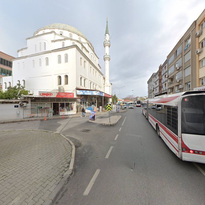 Fotoğraf 9