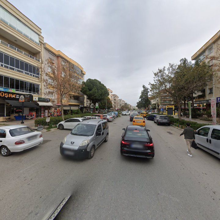 Fotoğraf 11