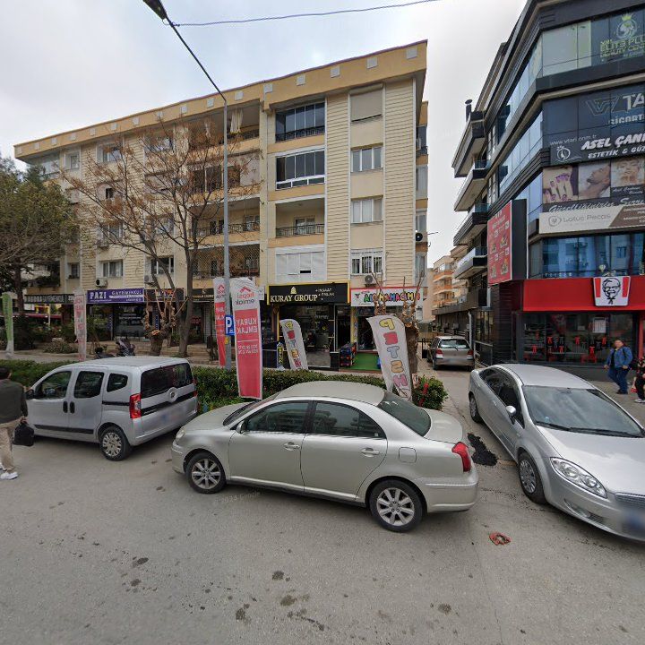 Fotoğraf 12