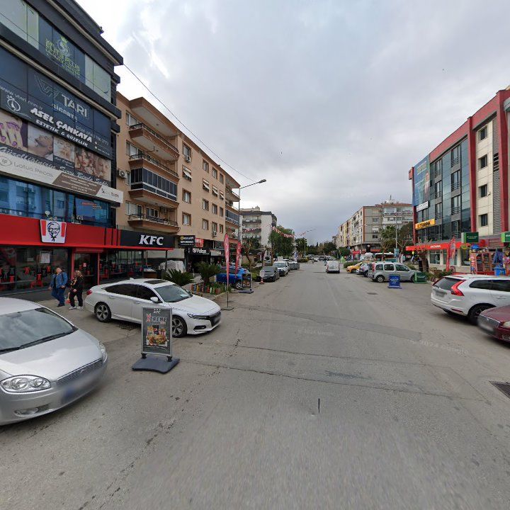 Fotoğraf 13