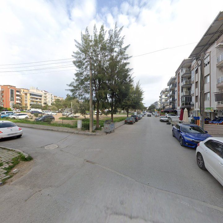 Fotoğraf 7