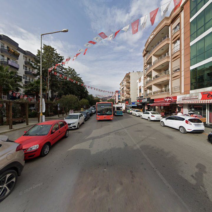 Fotoğraf 6