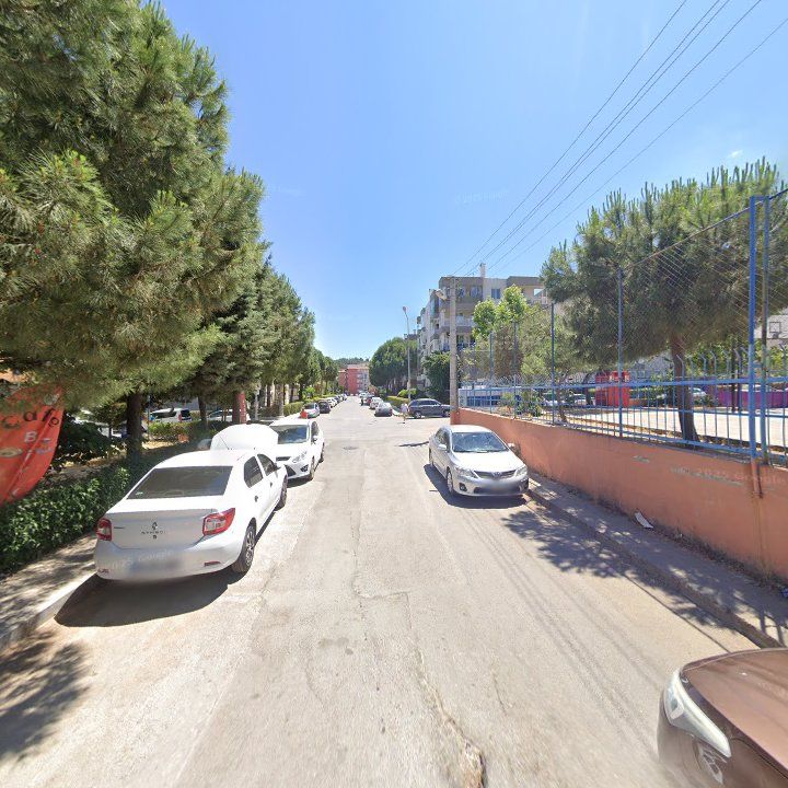 Fotoğraf 7