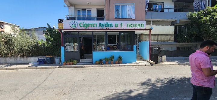 Ciğerci aydın usta