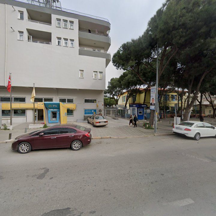 Fotoğraf 7