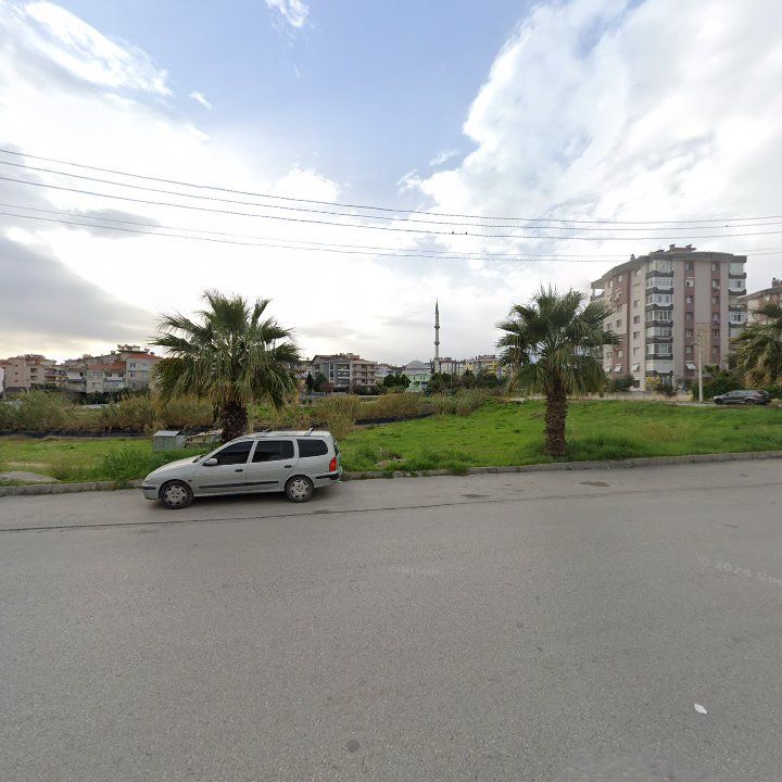 Fotoğraf 7