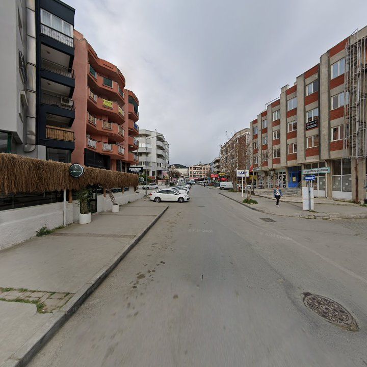 Fotoğraf 8