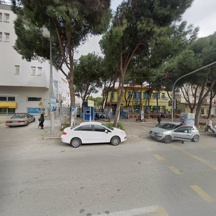 Fotoğraf 10