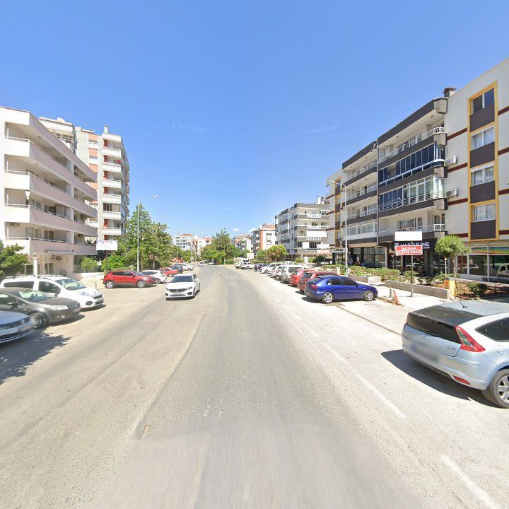 Fotoğraf 11
