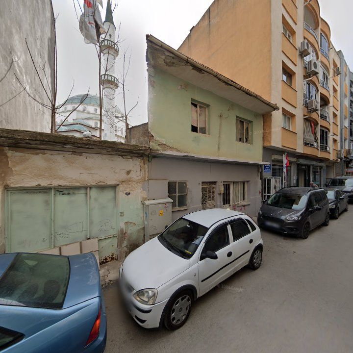 Fotoğraf 12
