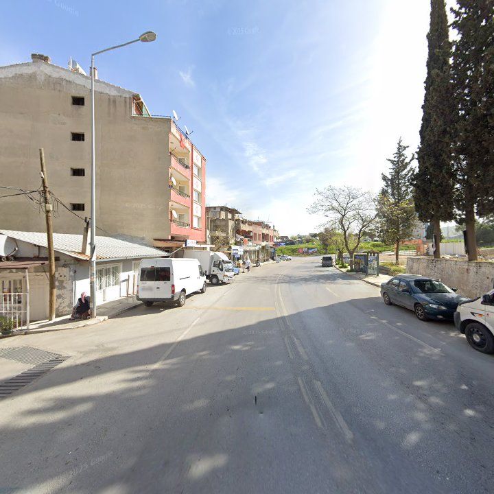 Fotoğraf 11