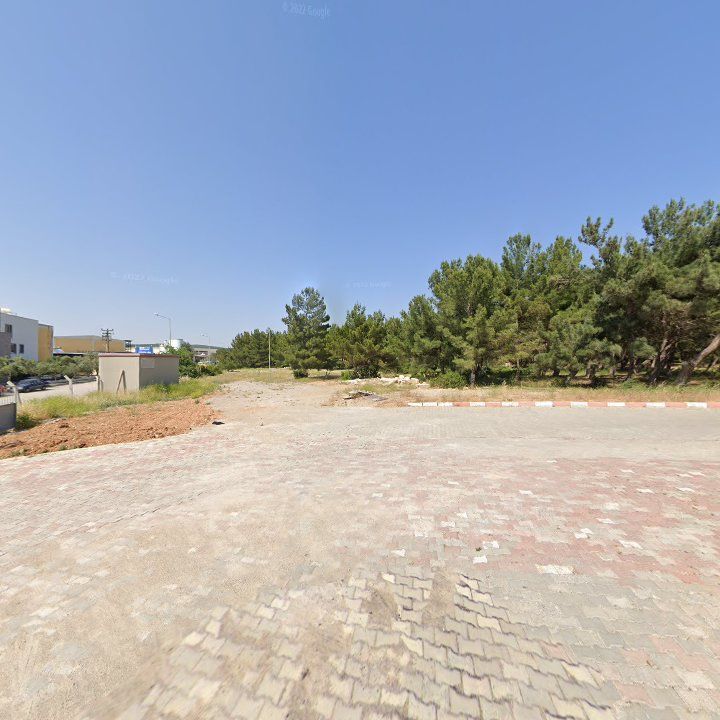 Fotoğraf 11