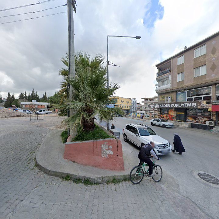 Fotoğraf 3