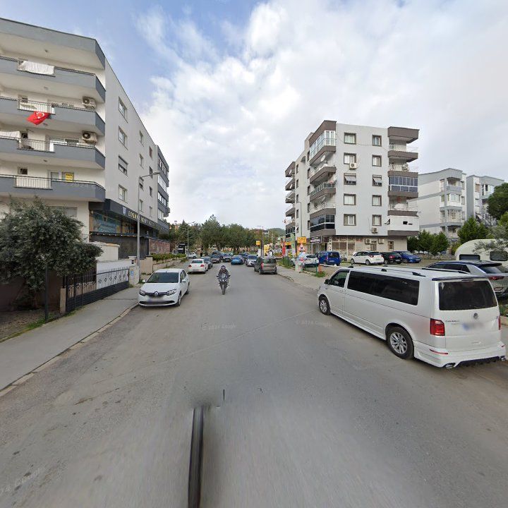 Fotoğraf 9