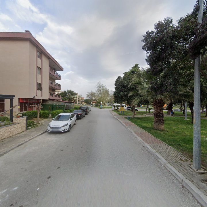 Fotoğraf 7