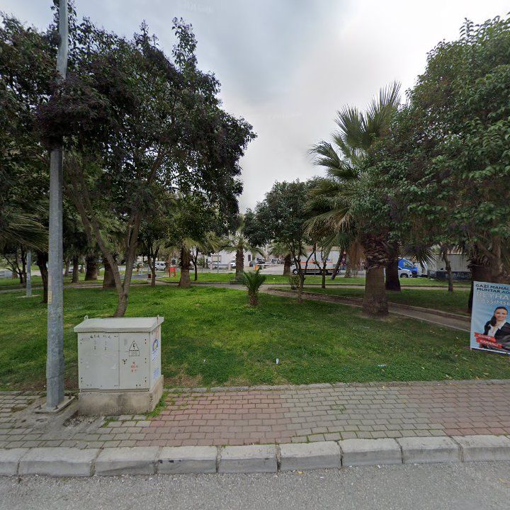 Fotoğraf 8