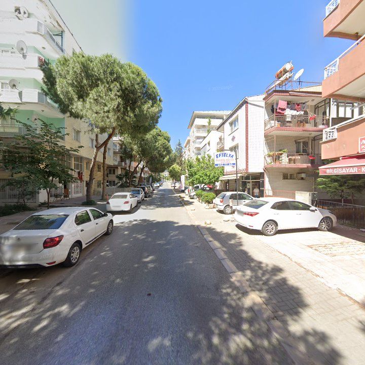 Fotoğraf 12